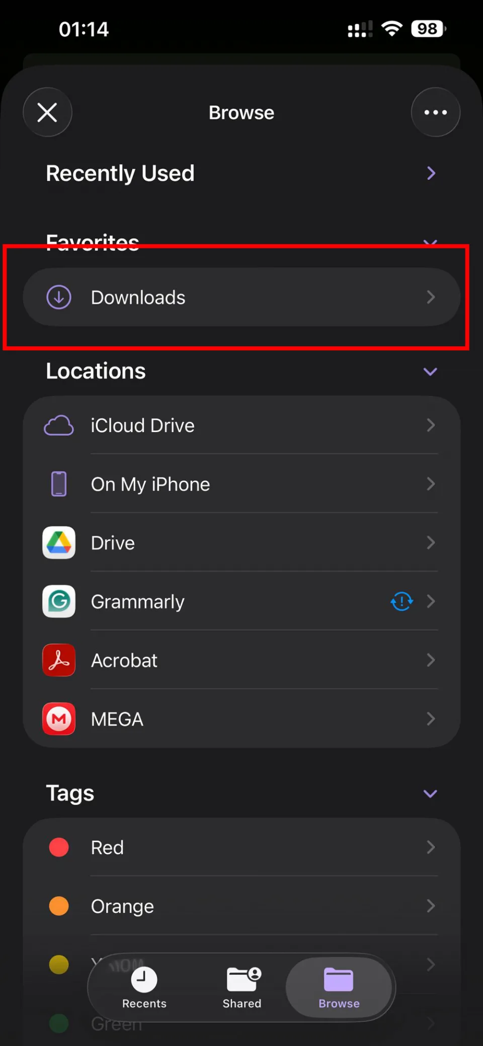 iPhone file browser with Downloads folder highlighted